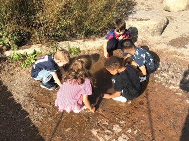 Børn på legepladsen